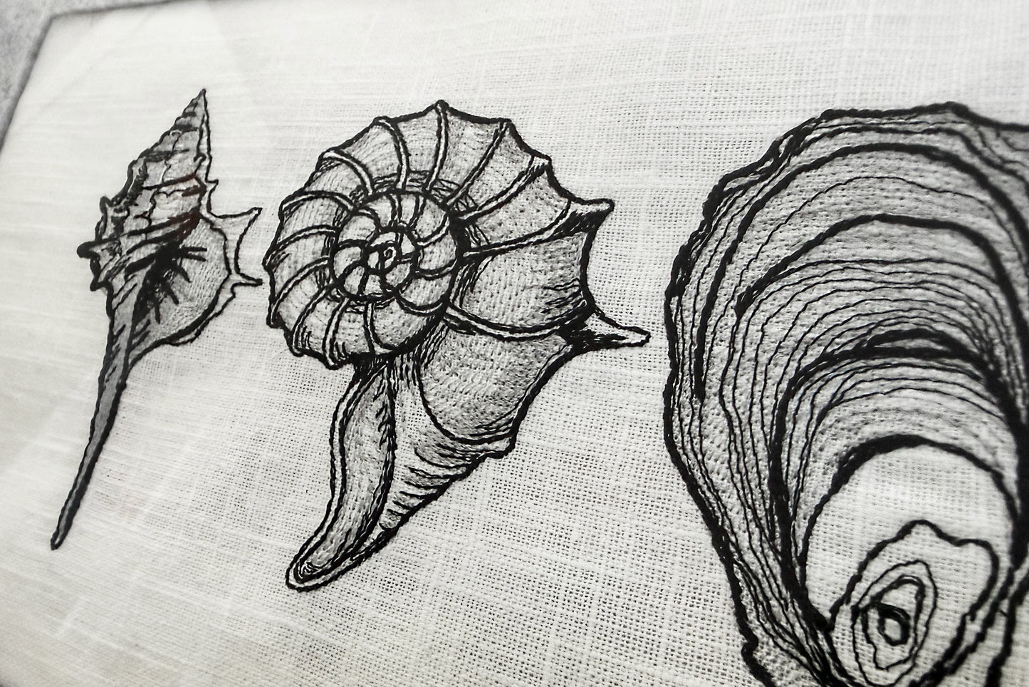 Seashell Machine Embroidery Design Set, Nautilus Oyster Shell Line Art