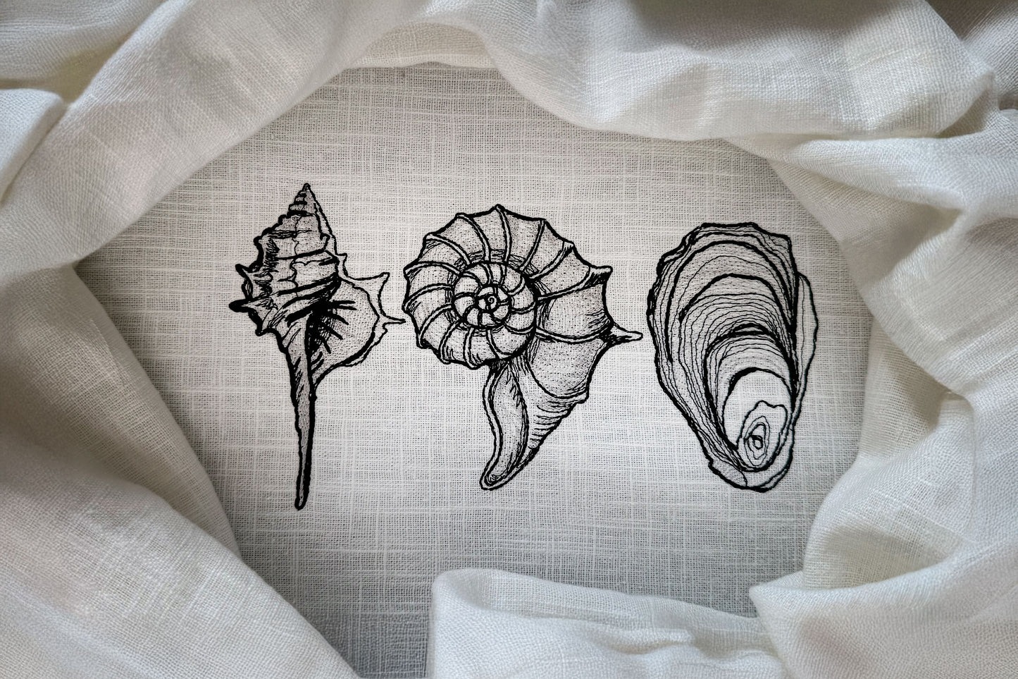 Seashell Machine Embroidery Design Set, Nautilus Oyster Shell Line Art
